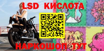 крисы Брянск