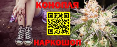 крисы Брянск