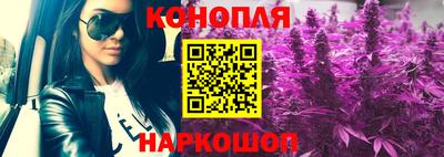 крисы Брянск